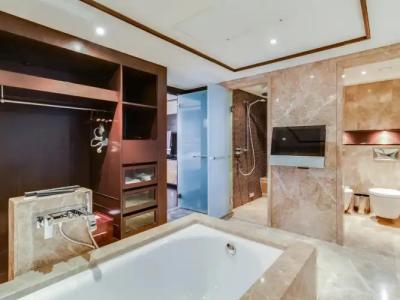 Hyatt Regency Kyiv Mini-hotel - 41