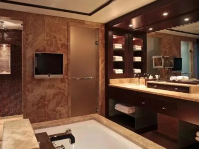 Hyatt Regency Kyiv Mini-hotel - 23