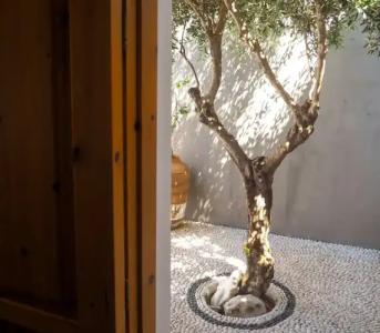 St. George Studios - 20