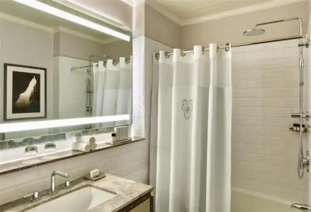 Palace, a Luxury Collection, - 9