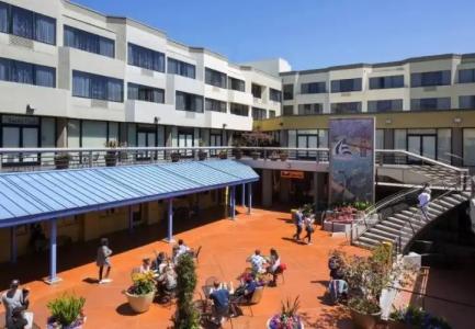 Cow Hollow Studio San Francisco - 0