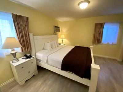 Hollywood Celebrity - 25