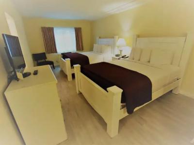 Hollywood Celebrity - 3