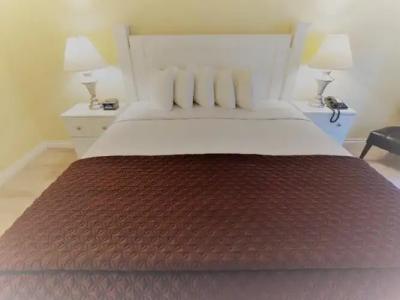 Hollywood Celebrity - 50