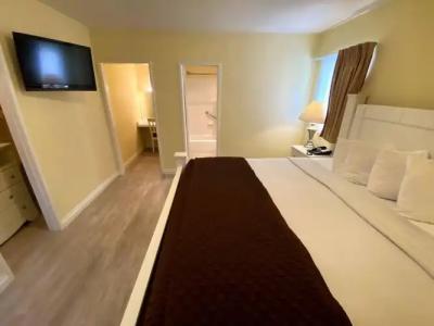 Hollywood Celebrity - 21