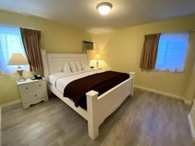 Hollywood Celebrity - 23