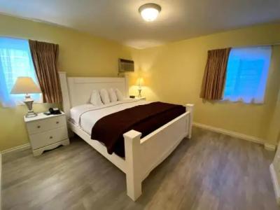 Hollywood Celebrity - 32