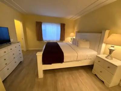 Hollywood Celebrity - 24