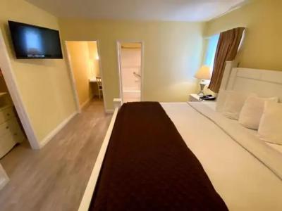 Hollywood Celebrity - 35