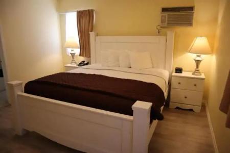 Hollywood Celebrity - 41