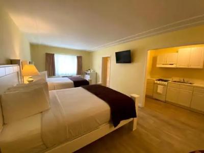 Hollywood Celebrity - 45