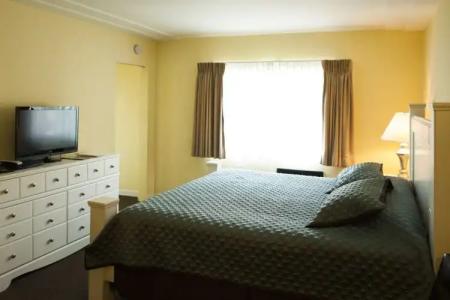 Hollywood Celebrity - 18