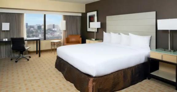 Hilton Los Angeles Airport - 141