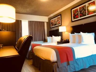 The Lexmar - Dodger Stadium Hollywood - 4