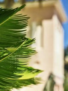 Bel-Air - Dorchester Collection - 97