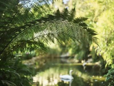 Bel-Air - Dorchester Collection - 99