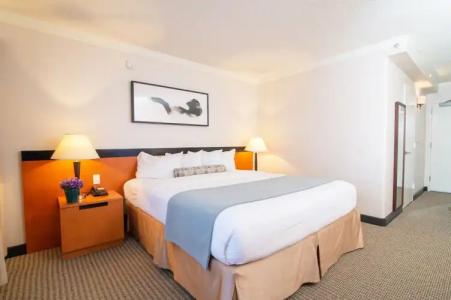 Miyako Los Angeles - 35