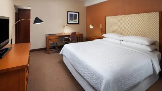 Four Points by Sheraton Los Angeles International Airport (USA) - 29