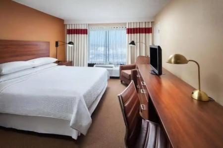 Four Points by Sheraton Los Angeles International Airport (USA) - 65