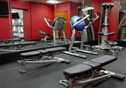 Four Points by Sheraton Los Angeles International Airport (USA) - 18