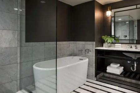 Viceroy Washington DC - 14