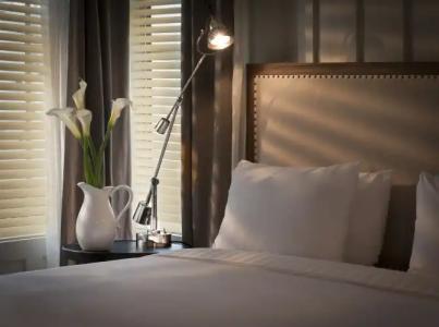 Shepley South Beach - 2