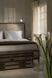 Shepley South Beach - 40