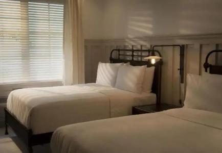 Shepley South Beach - 33