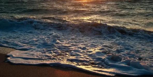 Shepley South Beach - 19