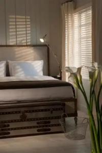 Shepley South Beach - 30