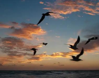 Shepley South Beach - 25