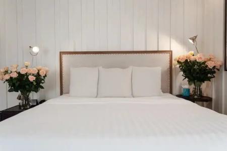 Shepley South Beach - 38