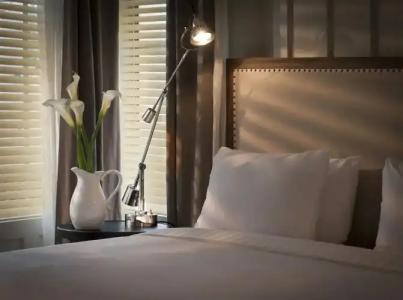 Shepley South Beach - 35