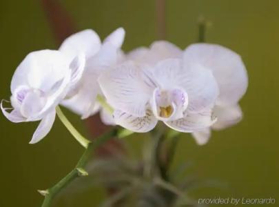 Beacon South Beach - 38