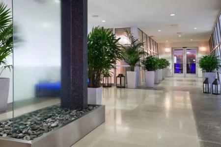 Z Ocean, Classico a Sonesta Collection - 40