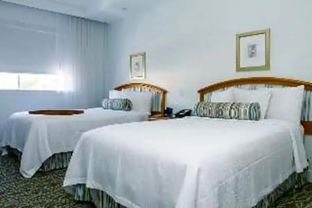 Dorchester & Suites - 58