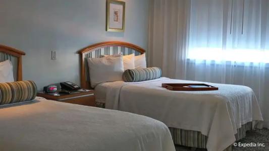 Dorchester & Suites - 43