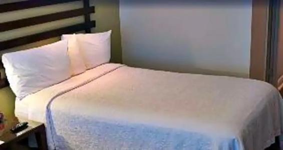 Dorchester & Suites - 23