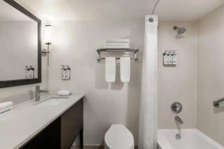 Holiday Inn MIAMI BEACH-OCEANFRONT by IHG - 7