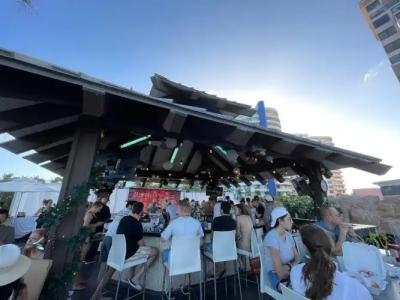 The Alexander Periwinkle - 28