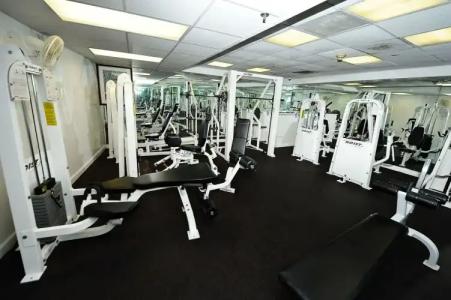 The Alexander Periwinkle - 16