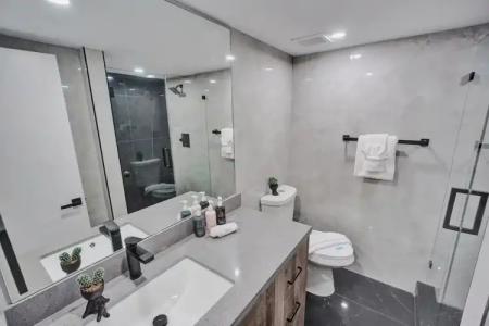 The Alexander Periwinkle - 631