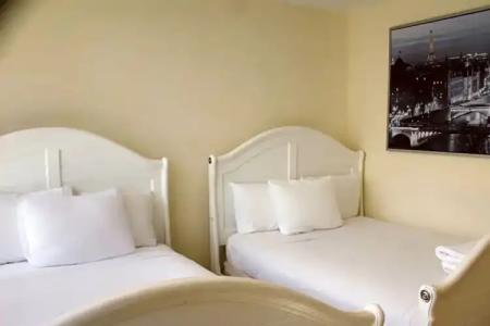 The Alexander Periwinkle - 663