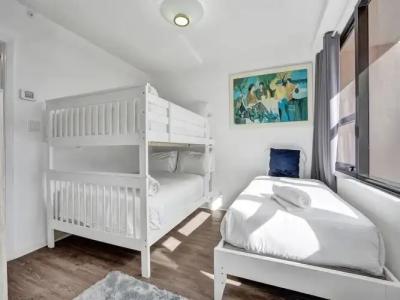 The Alexander Periwinkle - 501