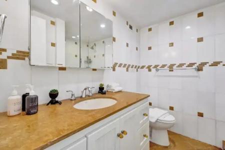 The Alexander Periwinkle - 801