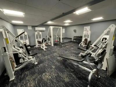 The Alexander Periwinkle - 17