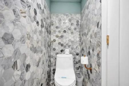 The Alexander Periwinkle - 797