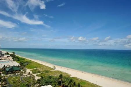 The Alexander Periwinkle - 19