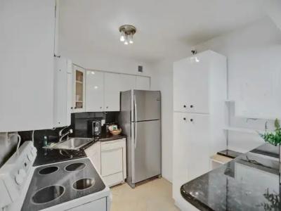 The Alexander Periwinkle - 332