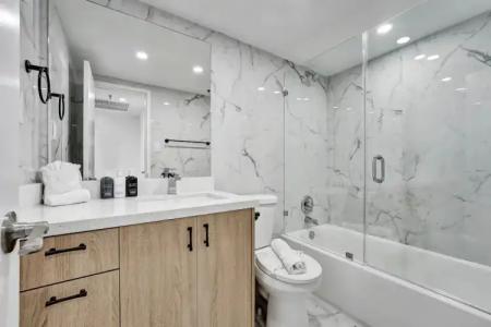 The Alexander Periwinkle - 564